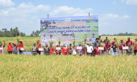 Panen Optimal di Musim Kering, Bupati Tiwi Apresiasi Teknologi Panen Cerdas Iklim