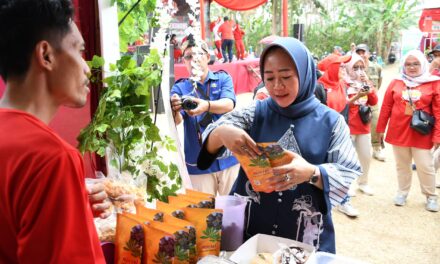 Roadshow Pemulihan Ekonomi di Kejobong, Bupati Kenalkan Produk UMKM Berbahan Dasar Komoditas Lokal