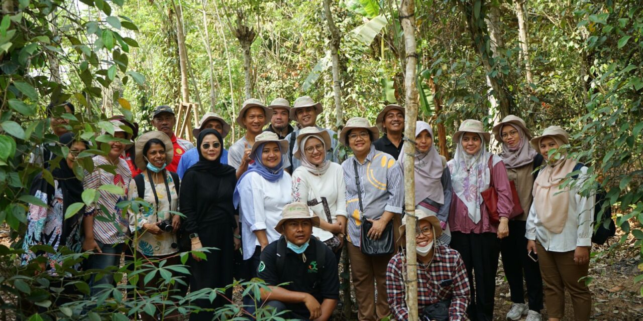 Komite Mutu IPC Kunjungi Kebun Lada Di Desa Kedarpan