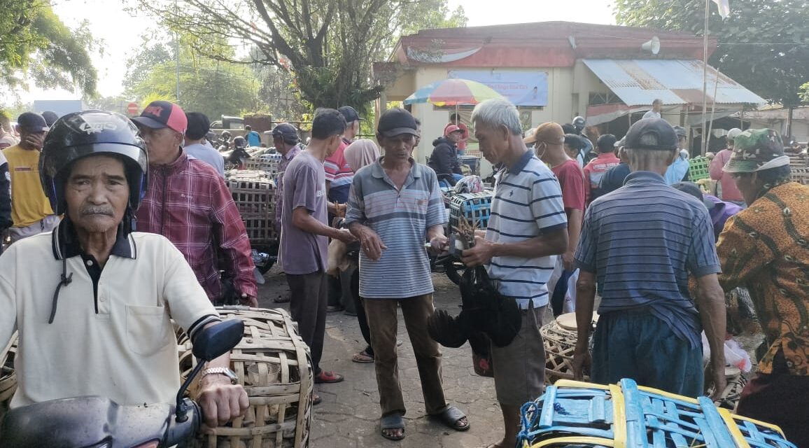 Pedagang Ayam Di Pasar Hewan Purbalingga Panen Jelang Lebaran