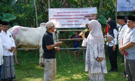 Momentum Idul Adha, Pemda Purbalingga Serahkan Sapi Potong di 3 Desa