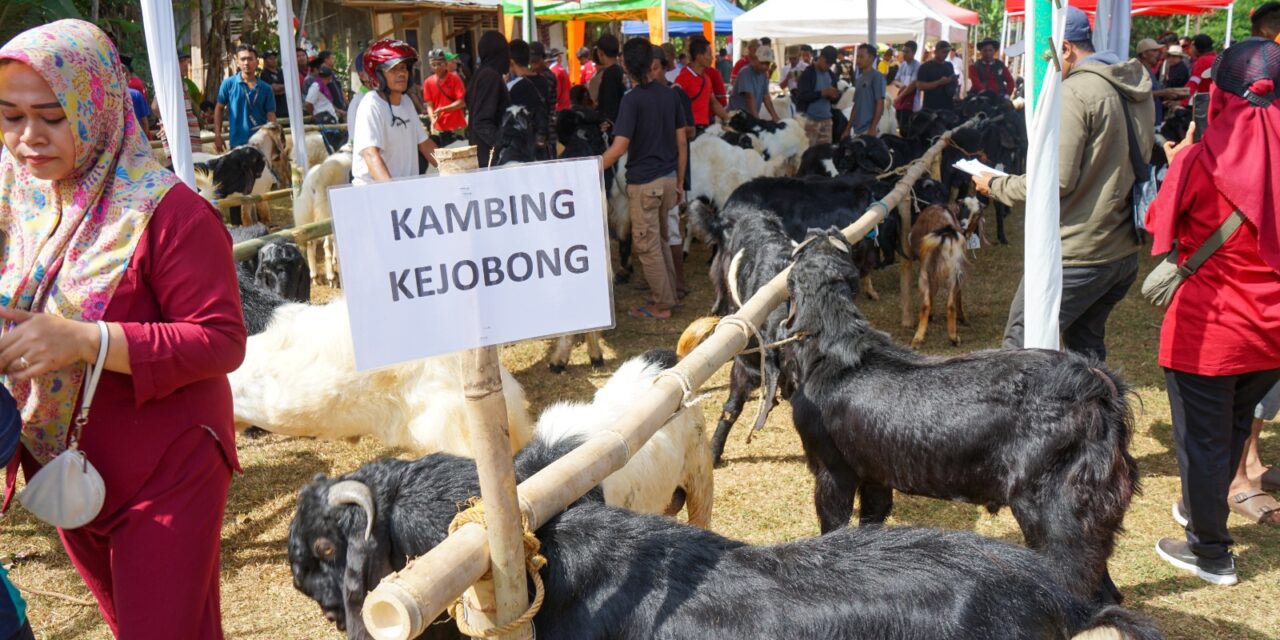 Keberhasilan Program Upland Project Sejahterakan Petani dan Peternak Purbalingga