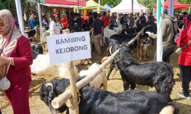 Keberhasilan Program Upland Project Sejahterakan Petani dan Peternak Purbalingga