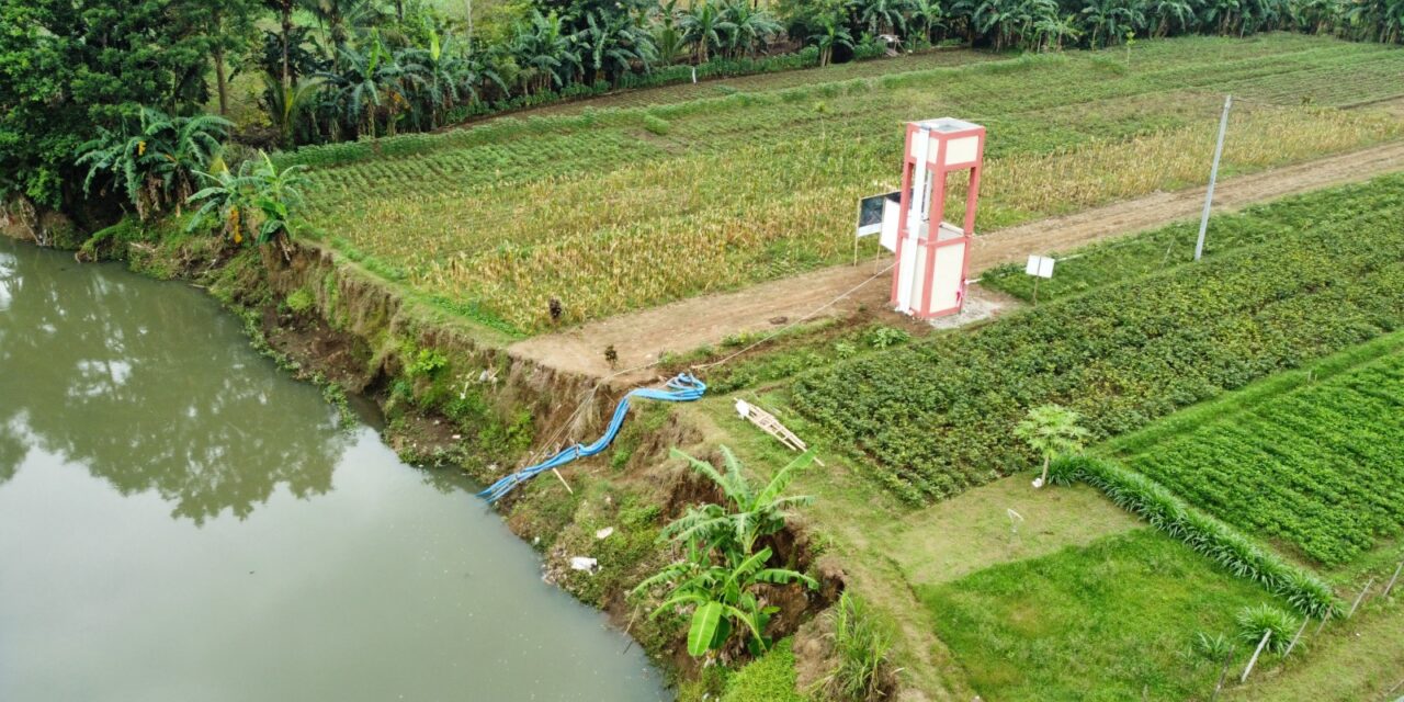 Petani Purbalingga Rasakan Manfaat Irigasi Perpompaan: Dari Satu Kali Panen Jadi Tiga Kali Panen