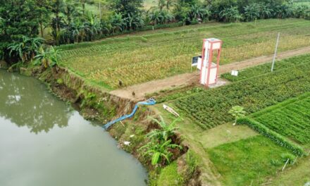 Petani Purbalingga Rasakan Manfaat Irigasi Perpompaan: Dari Satu Kali Panen Jadi Tiga Kali Panen